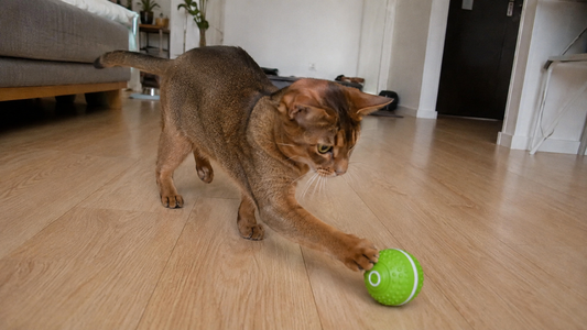 SmartBounce™
